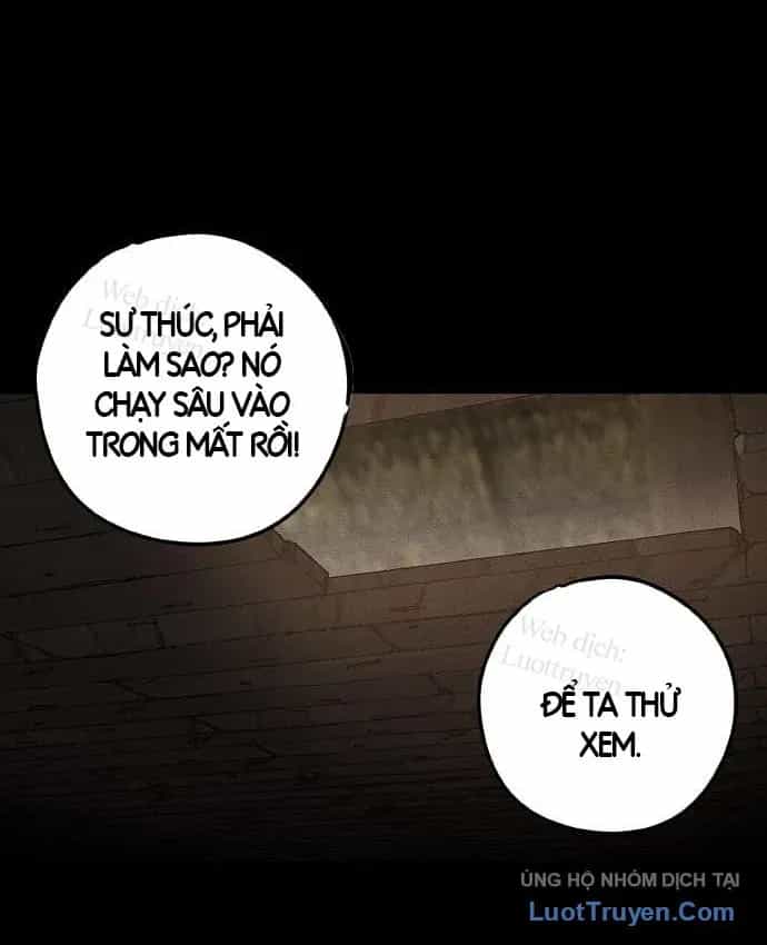 Vô Phạt - Chương 36 - ảnh 19