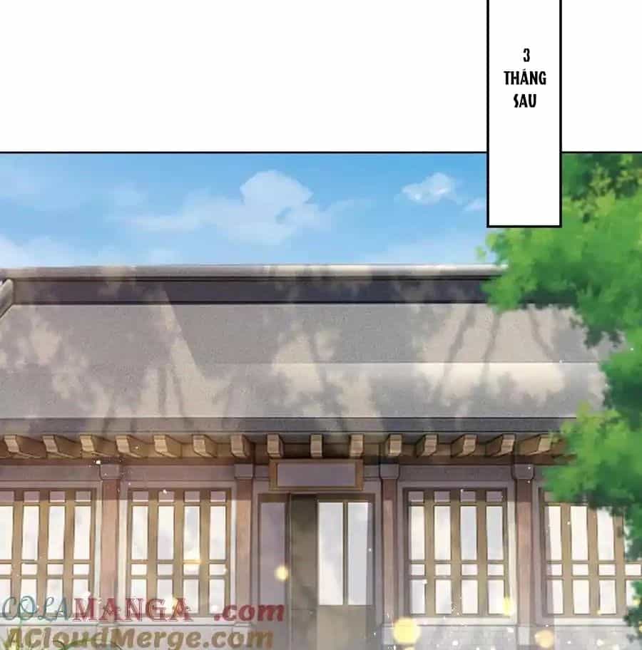 Vô Tận Thôn Phệ - Chương 178 - ảnh 35