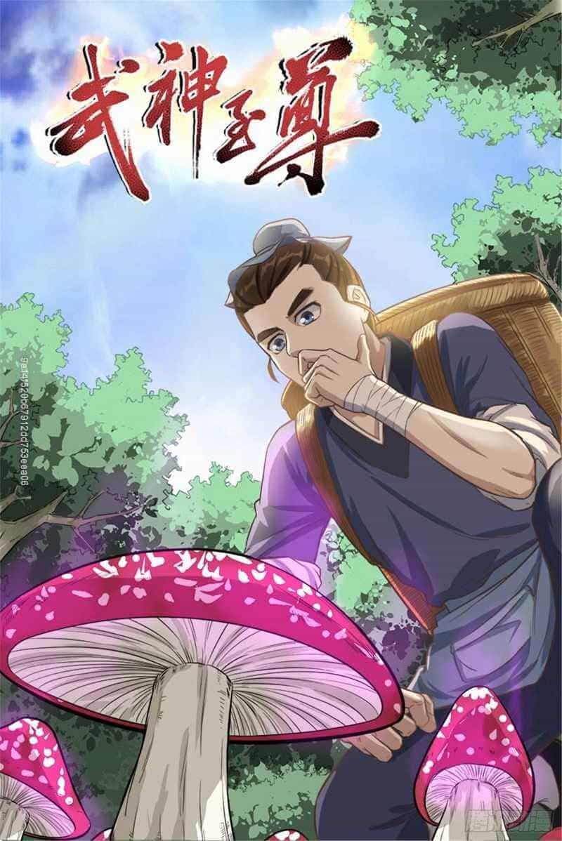 Võ Thần Chí Tôn - Chương 16 - ảnh 3