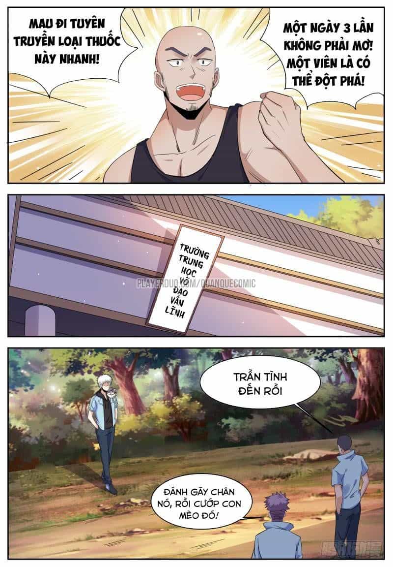 Võ Thần Vườn Trường - Chương 8 - ảnh 8