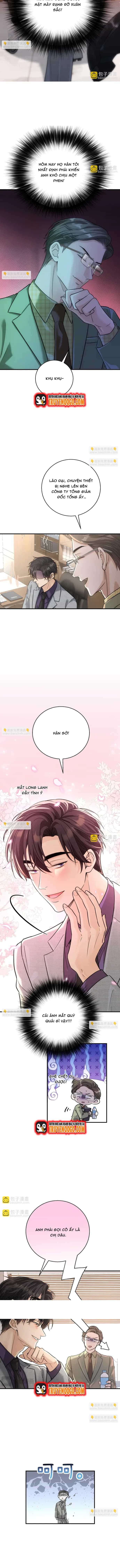 Vô Tình Kết Hôn Với Tổng Tài - Chương 23 - ảnh 9