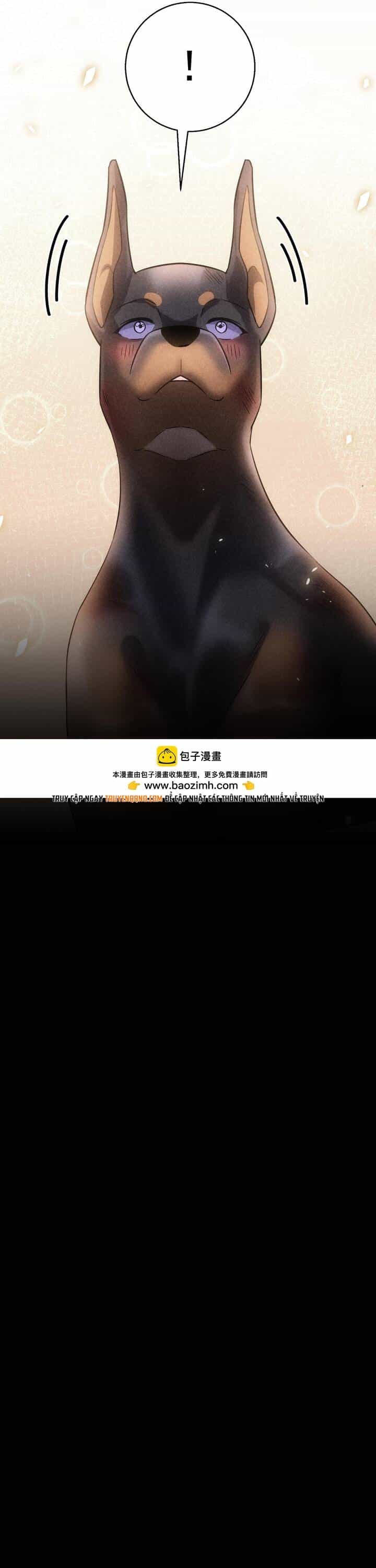 Vô Tình Kết Hôn Với Tổng Tài - Chương 47 - ảnh 14
