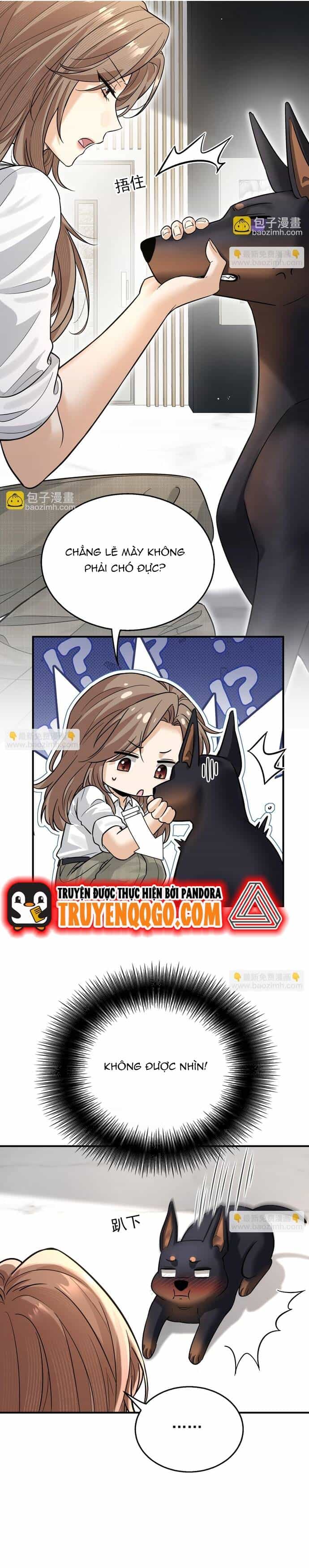 Vô Tình Kết Hôn Với Tổng Tài - Chương 9 - ảnh 19