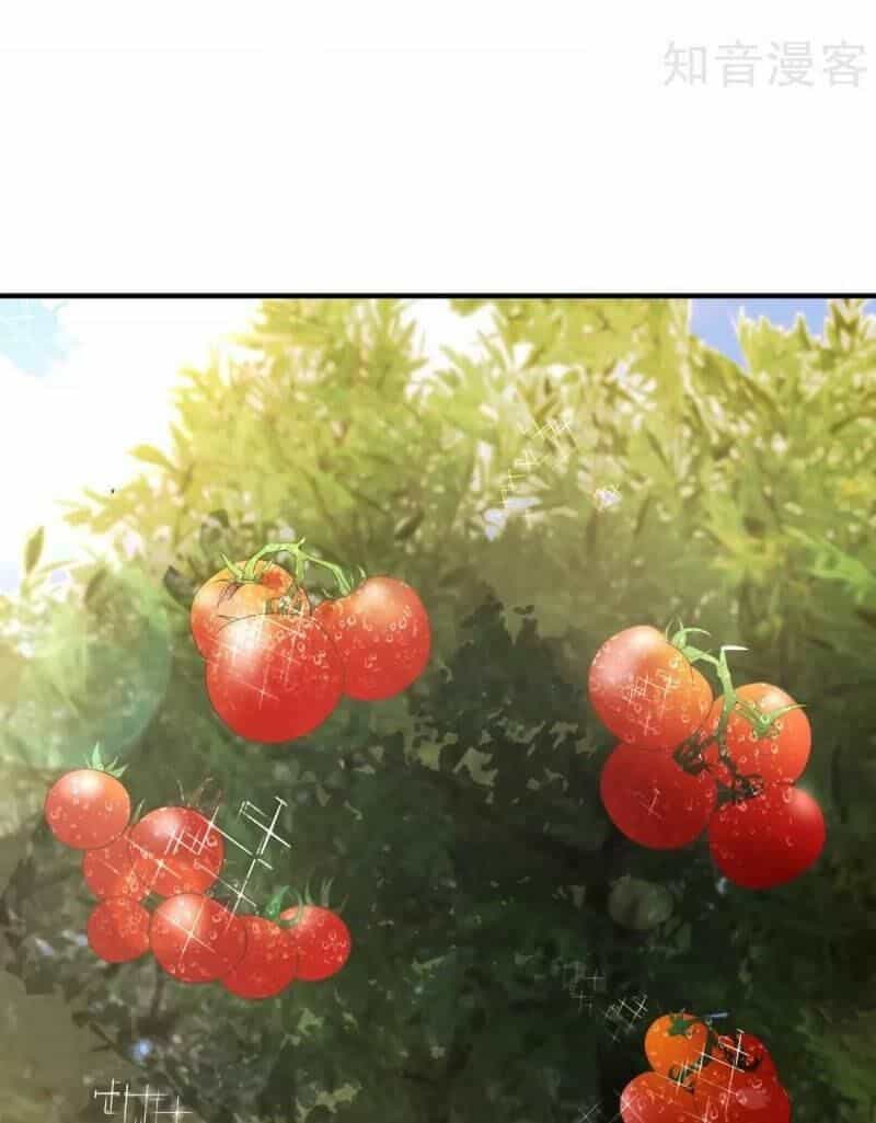 Vòng Bạn Bè Mạnh Nhất Của Tiên Giới - Chương 2 - ảnh 10