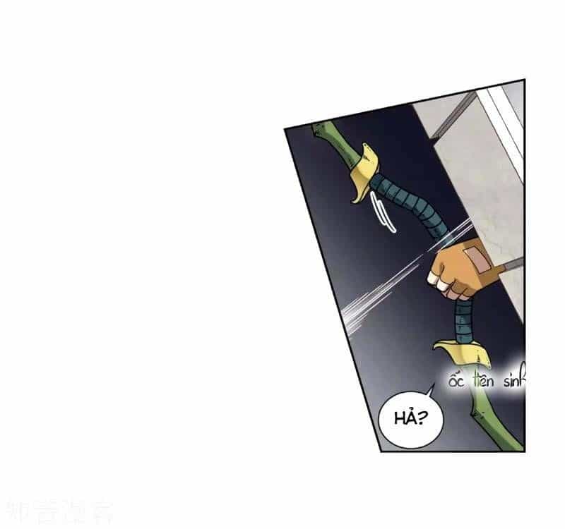 Võng Du Chi Cận Chiến Pháp Sư - Chương 218 - ảnh 6
