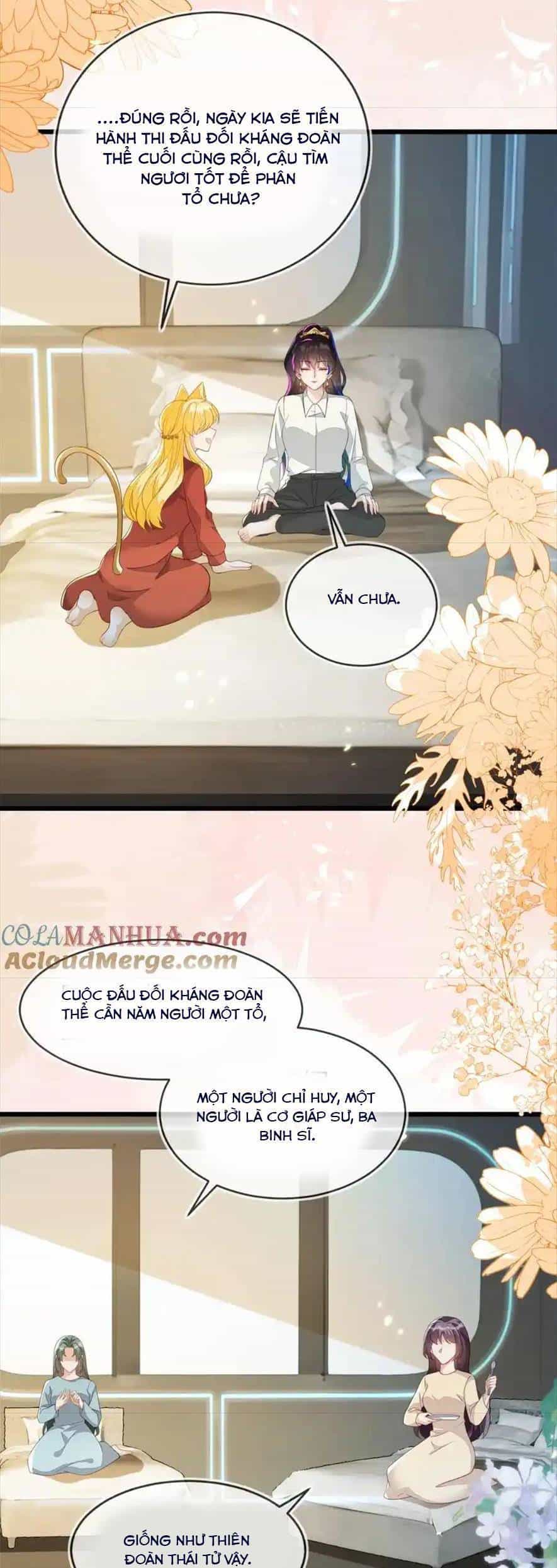 Vừa Mới Huỷ Hôn Đã Bị Dã Hồ Ly Lừa Kết Hôn - Chương 23 - ảnh 7