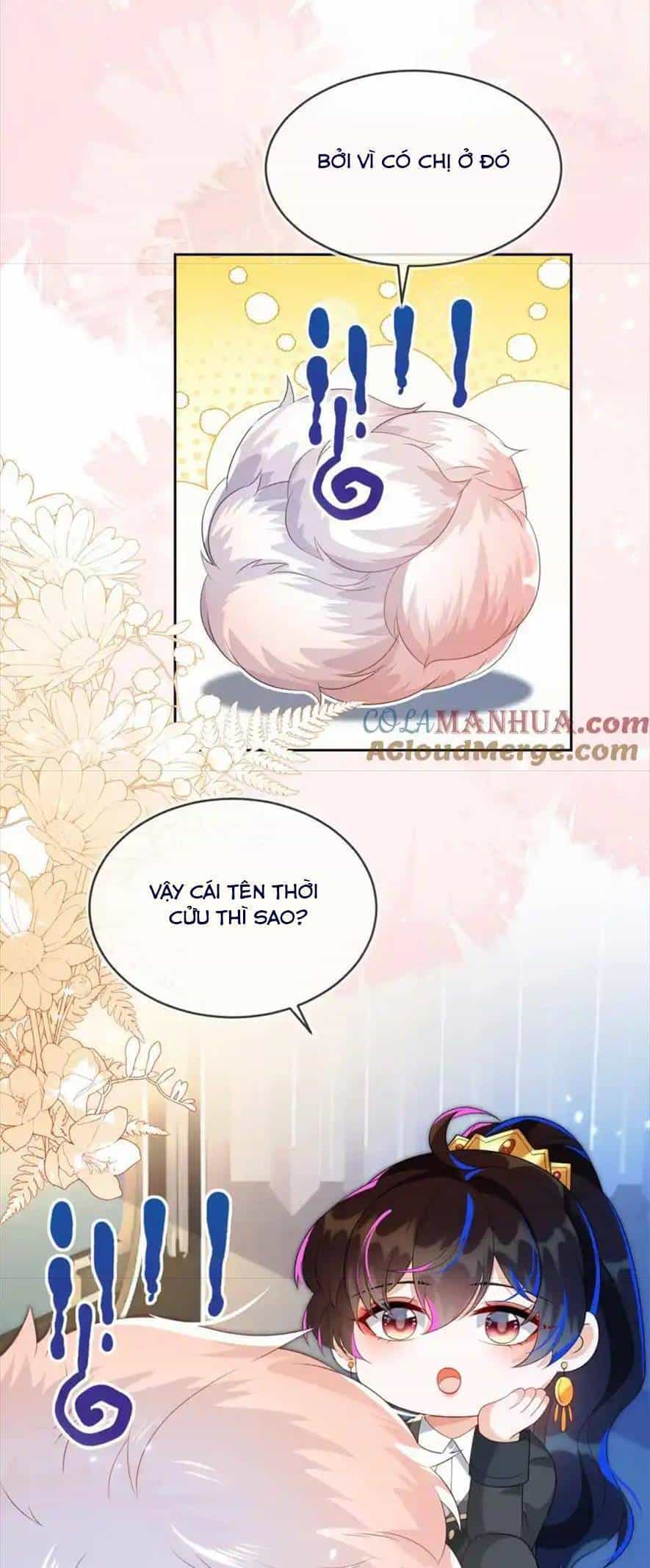 Vừa Mới Huỷ Hôn Đã Bị Dã Hồ Ly Lừa Kết Hôn - Chương 25 - ảnh 25