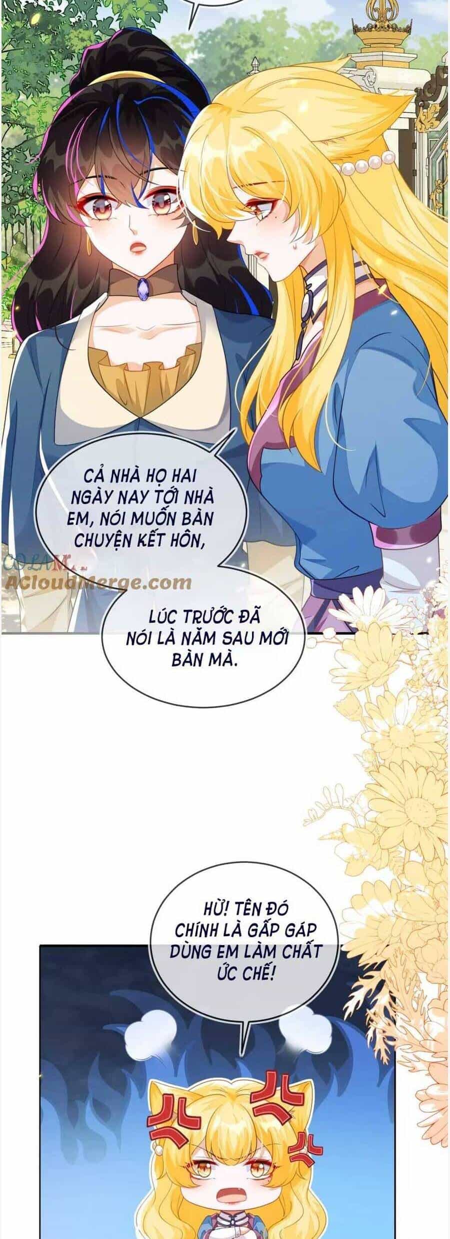 Vừa Mới Huỷ Hôn Đã Bị Dã Hồ Ly Lừa Kết Hôn - Chương 41 - ảnh 3