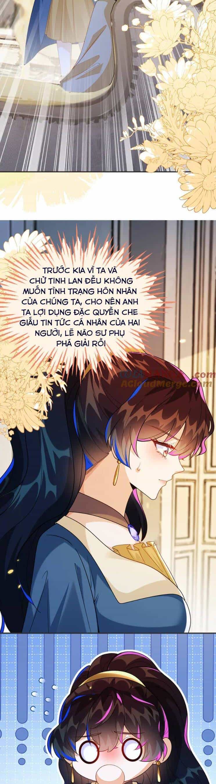 Vừa Mới Huỷ Hôn Đã Bị Dã Hồ Ly Lừa Kết Hôn - Chương 43 - ảnh 22