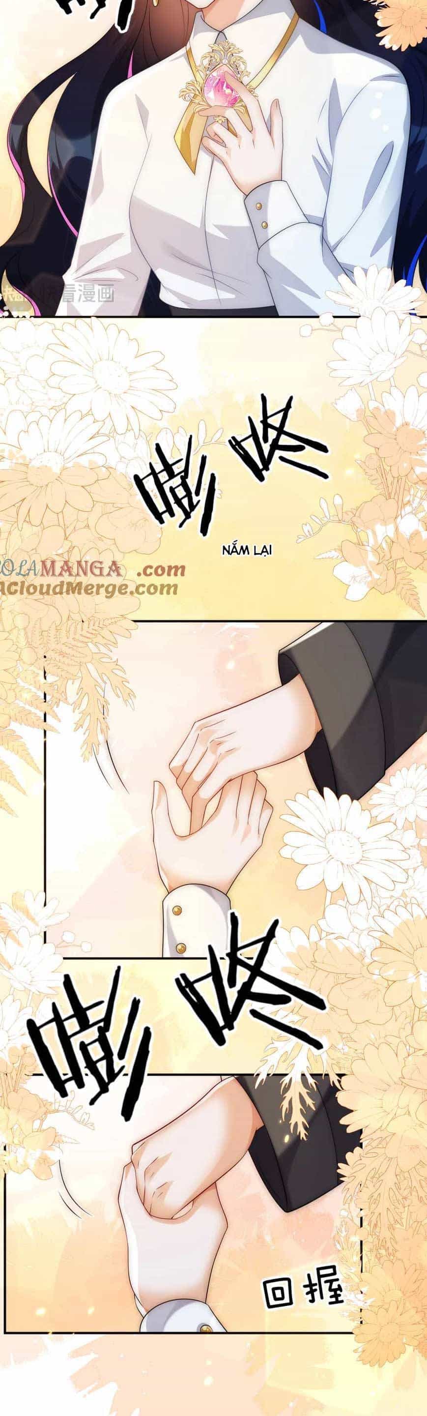 Vừa Mới Huỷ Hôn Đã Bị Dã Hồ Ly Lừa Kết Hôn - Chương 50 - ảnh 14