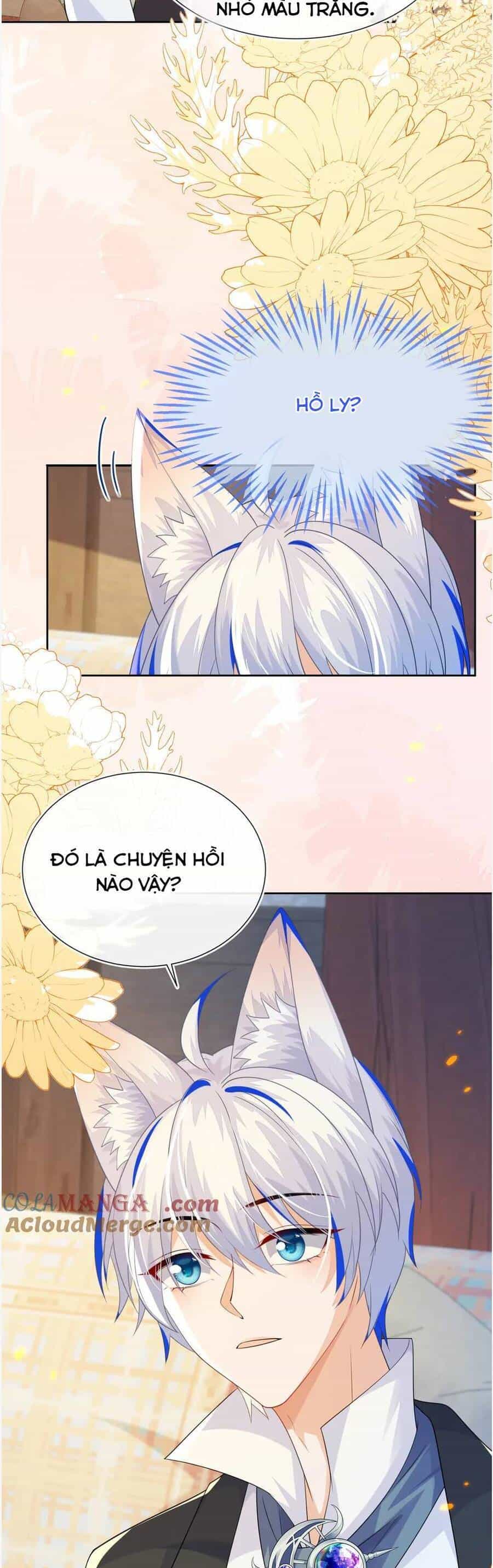 Vừa Mới Huỷ Hôn Đã Bị Dã Hồ Ly Lừa Kết Hôn - Chương 56 - ảnh 25