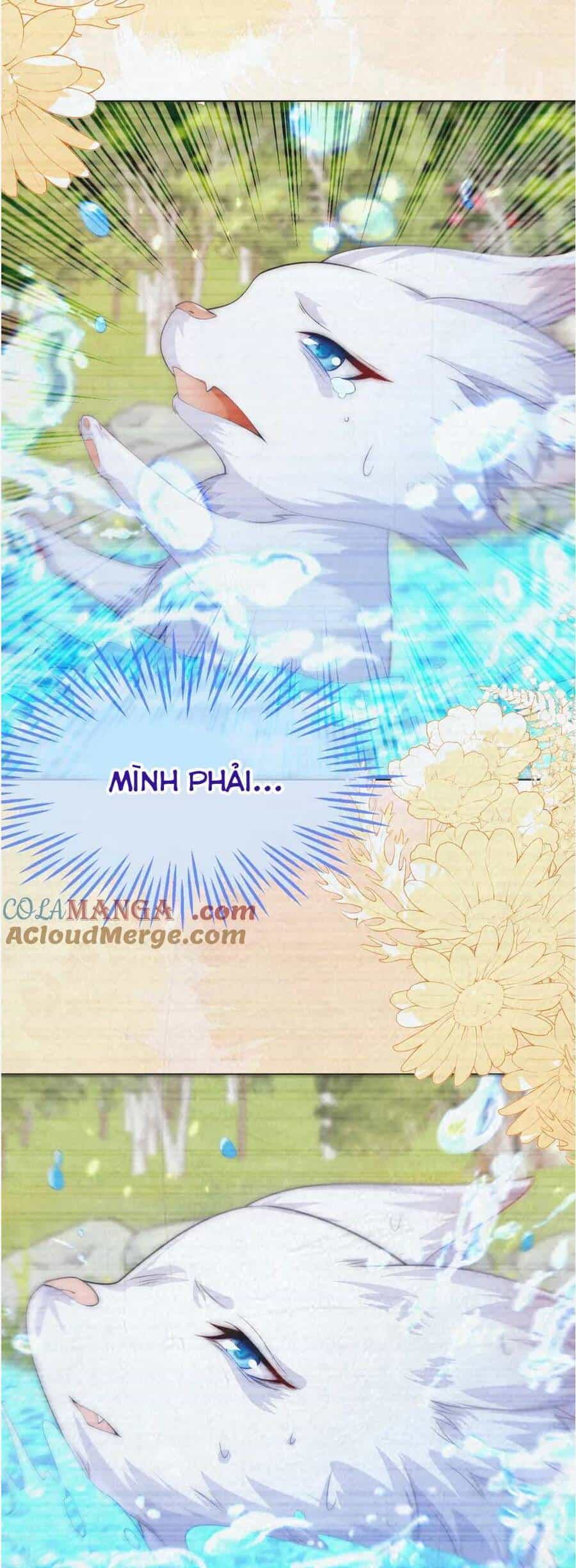 Vừa Mới Huỷ Hôn Đã Bị Dã Hồ Ly Lừa Kết Hôn - Chương 56 - ảnh 35