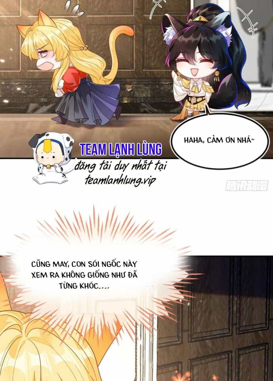 Vừa Mới Huỷ Hôn Đã Bị Dã Hồ Ly Lừa Kết Hôn - Chương 6 - ảnh 32