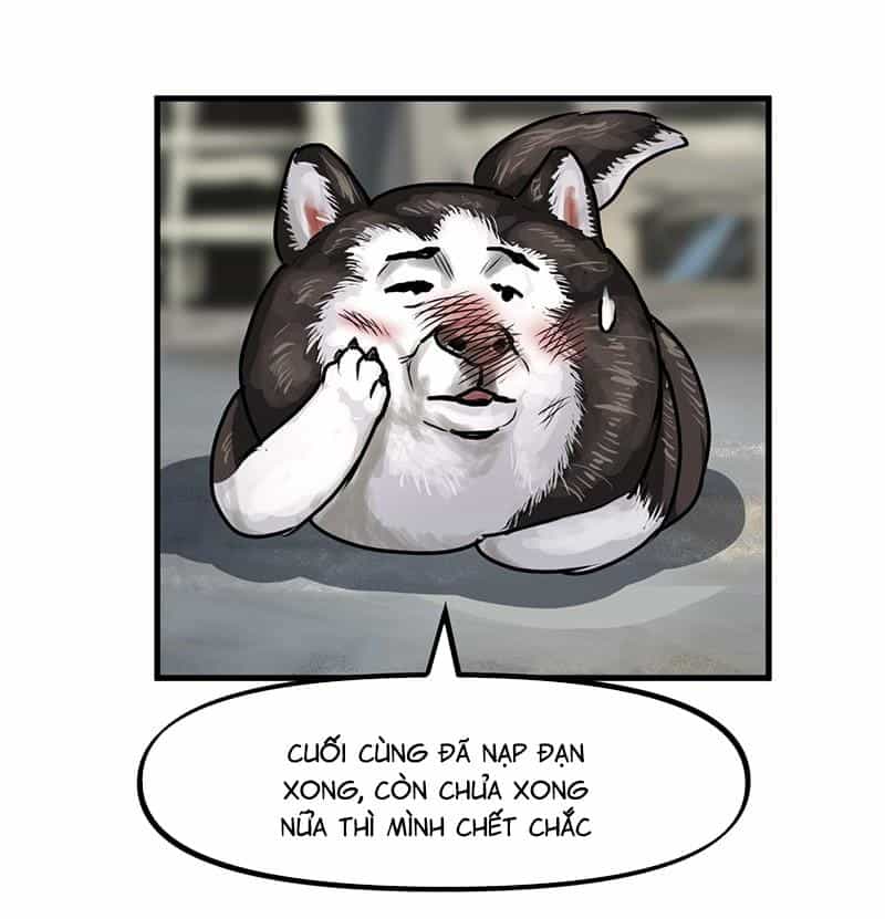 Vua Sinh Tồn - Chương 68 - ảnh 12
