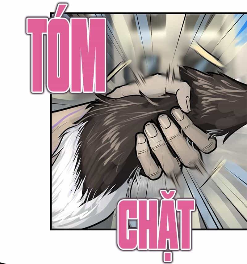 Vua Sinh Tồn - Chương 68 - ảnh 15