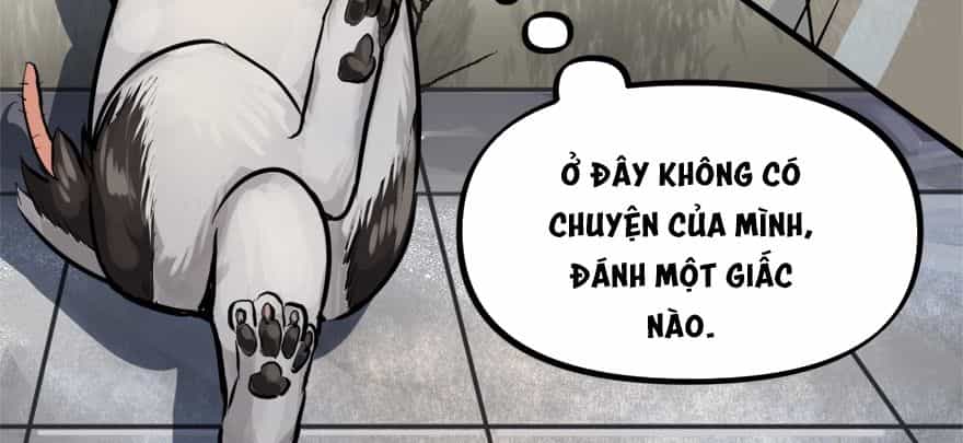 Vua Sinh Tồn - Chương 75 - ảnh 40