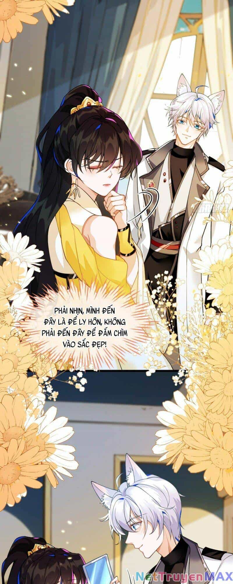 Vừa Từ Hôn Đã Bị Hồ Ly Lừa Vào Cục Dân Chính - Chương 3 - ảnh 5