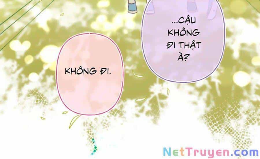 Vụng Trộm Giấu Không Được - Chương 1 - ảnh 23