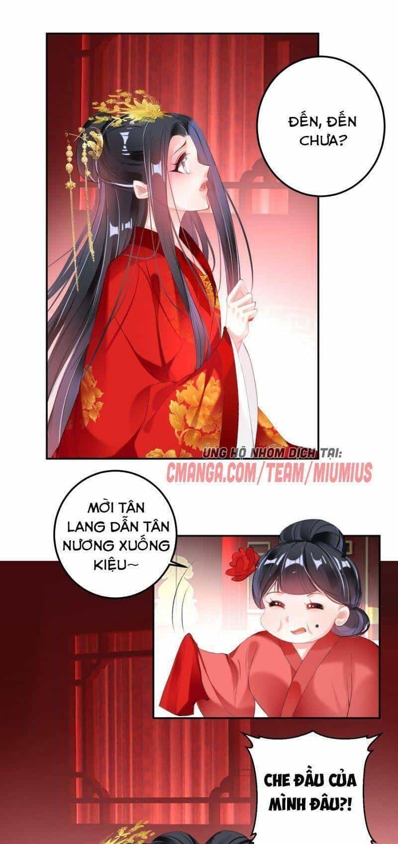 Vương Gia, Áo Lót Của Ngươi Rơi Mất Rồi - Chương 121 - ảnh 8