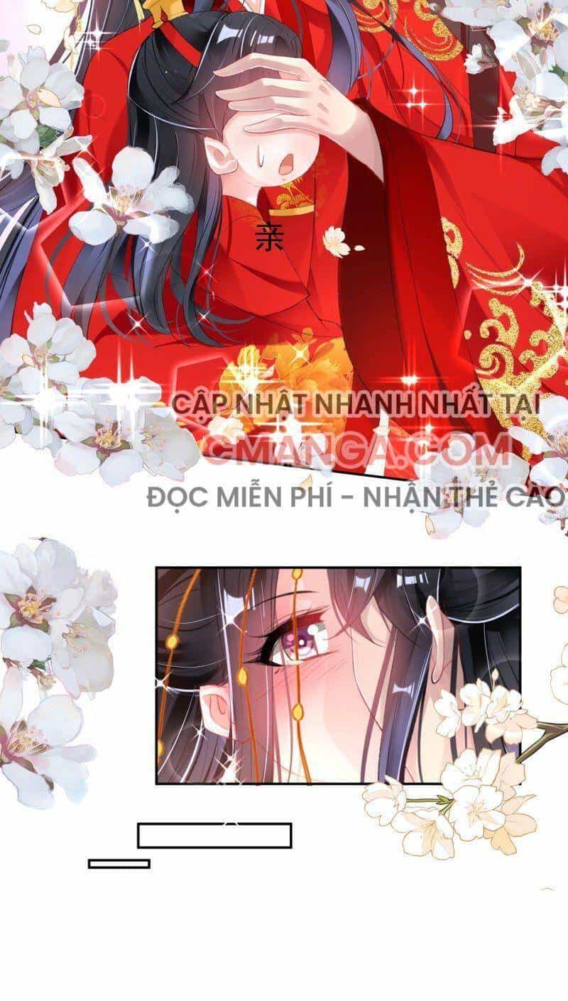 Vương Gia, Áo Lót Của Ngươi Rơi Mất Rồi - Chương 122 - ảnh 14