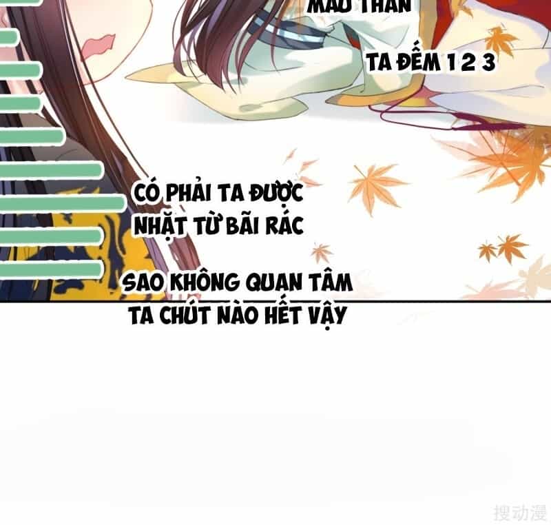 Vương Gia, Áo Lót Của Ngươi Rơi Mất Rồi - Chương 35 - ảnh 28