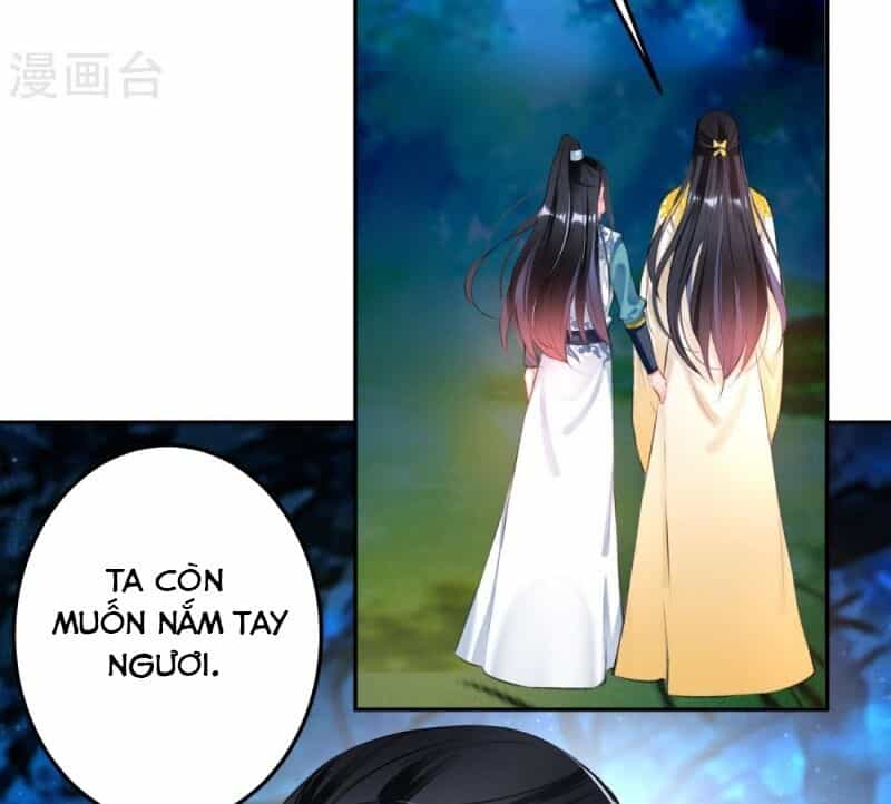 Vương Gia, Áo Lót Của Ngươi Rơi Mất Rồi - Chương 61 - ảnh 3
