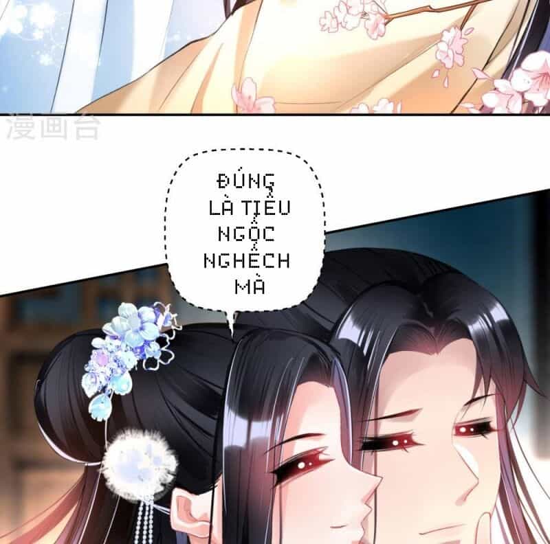 Vương Gia, Áo Lót Của Ngươi Rơi Mất Rồi - Chương 62 - ảnh 25