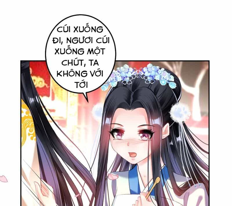 Vương Gia, Áo Lót Của Ngươi Rơi Mất Rồi - Chương 63 - ảnh 17