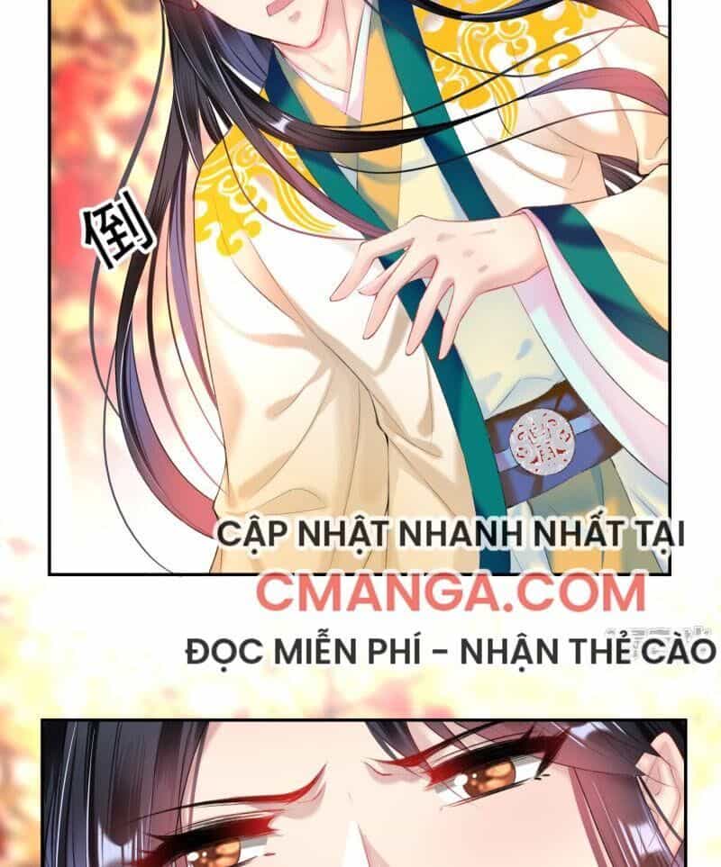 Vương Gia, Áo Lót Của Ngươi Rơi Mất Rồi - Chương 65 - ảnh 7