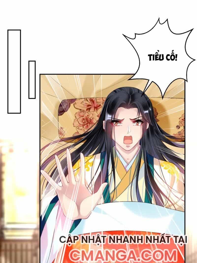 Vương Gia, Áo Lót Của Ngươi Rơi Mất Rồi - Chương 66 - ảnh 1