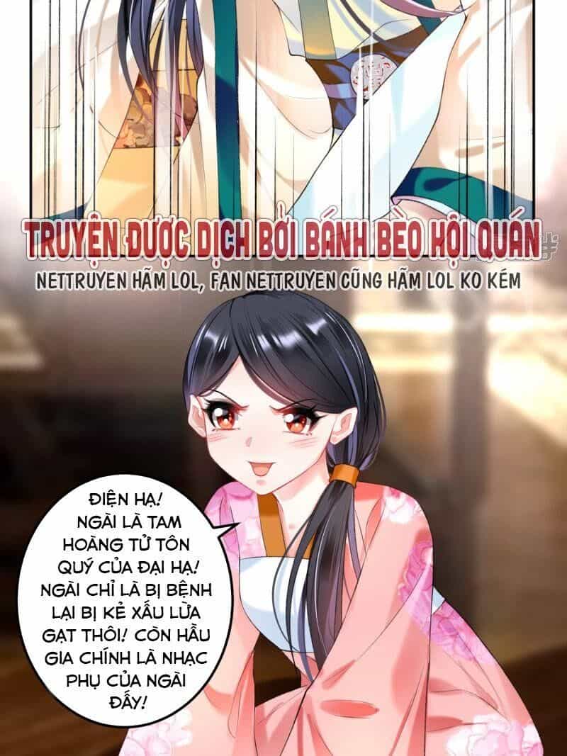 Vương Gia, Áo Lót Của Ngươi Rơi Mất Rồi - Chương 66 - ảnh 4