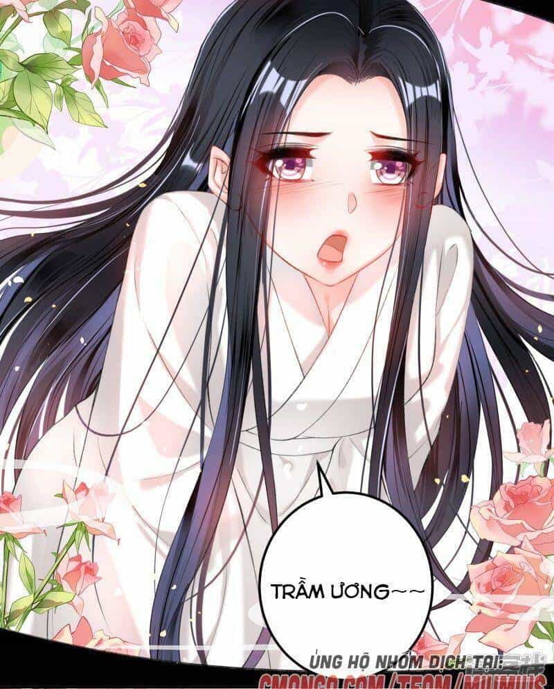Vương Gia, Áo Lót Của Ngươi Rơi Mất Rồi - Chương 83 - ảnh 4