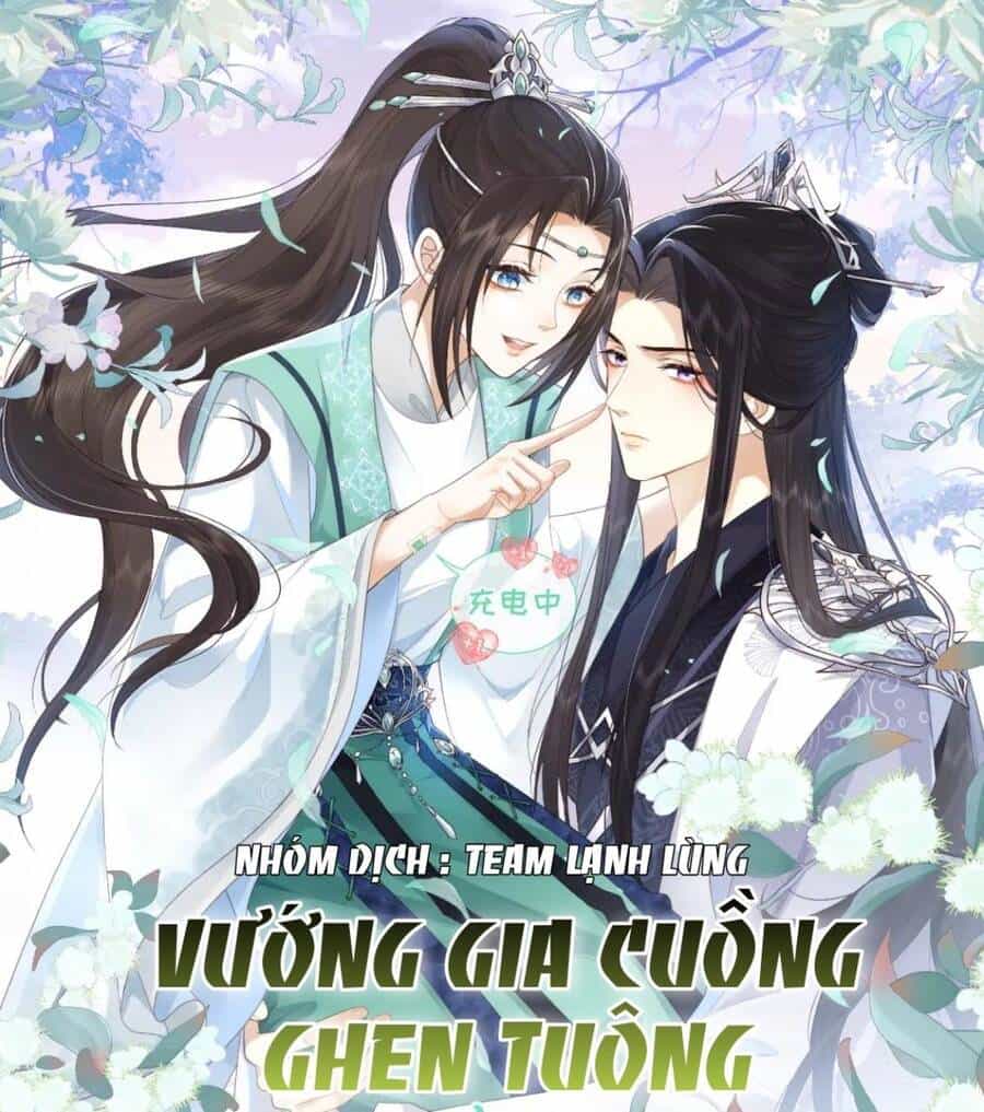 Vương Gia Cuồng Ghen Tuông - Chương 3 - ảnh 1