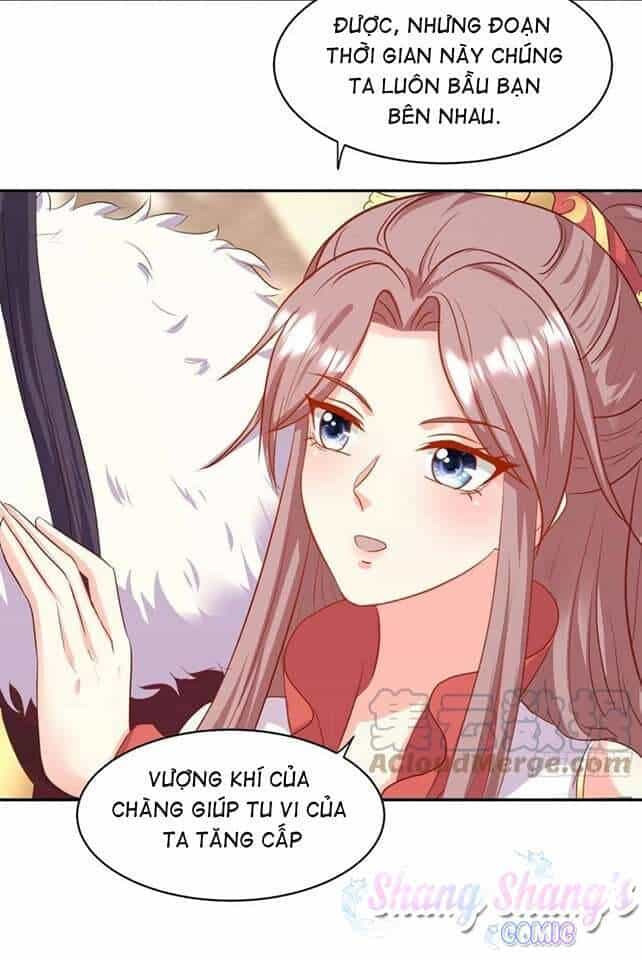 Vương Gia Khắc Thê - Chương 118 - ảnh 19