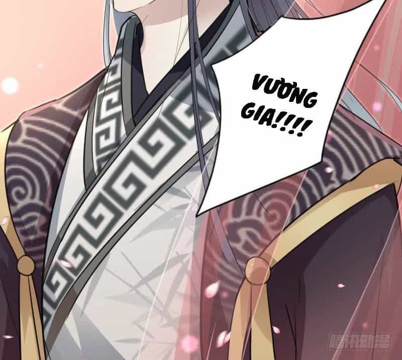 Vương Gia Không Thể Trêu - Chương 19 - ảnh 45