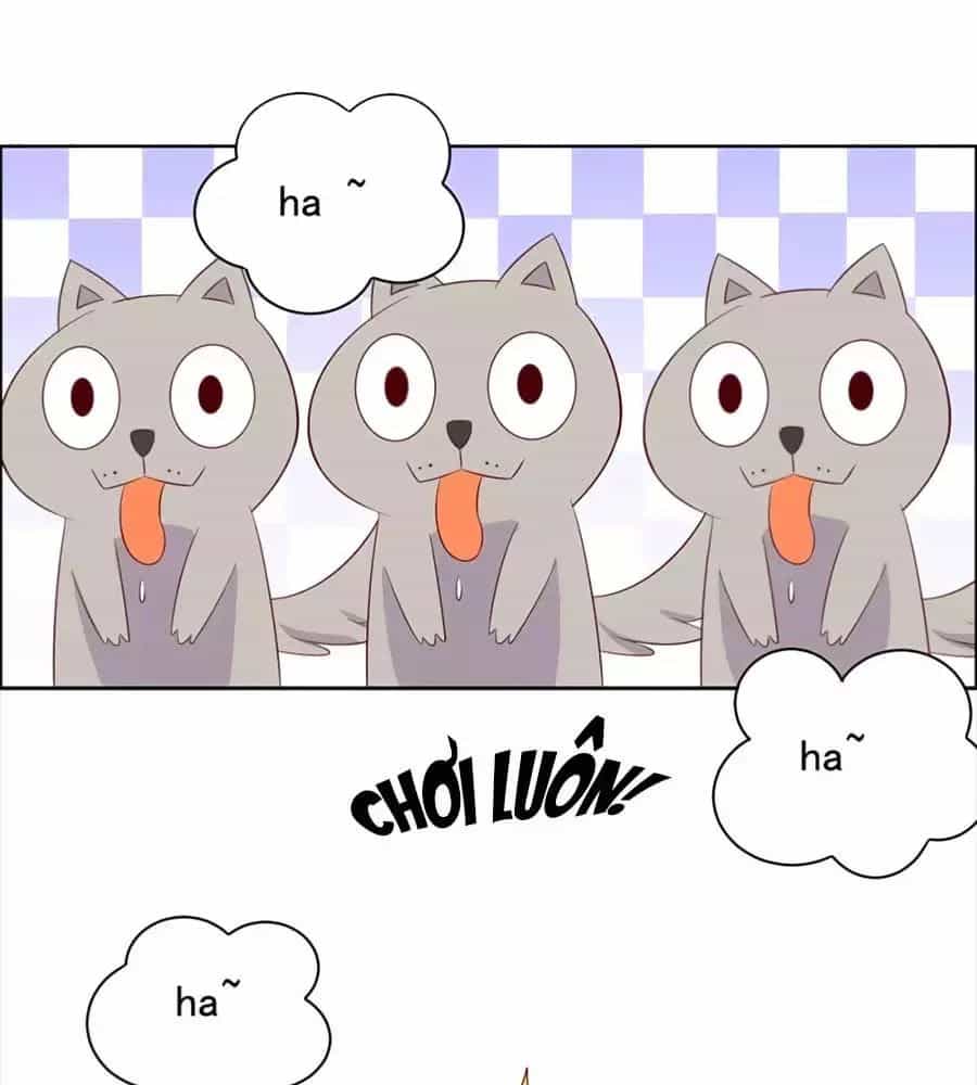 Vương Gia Là Đầu Đại Lão Hổ - Chương 51 - ảnh 33