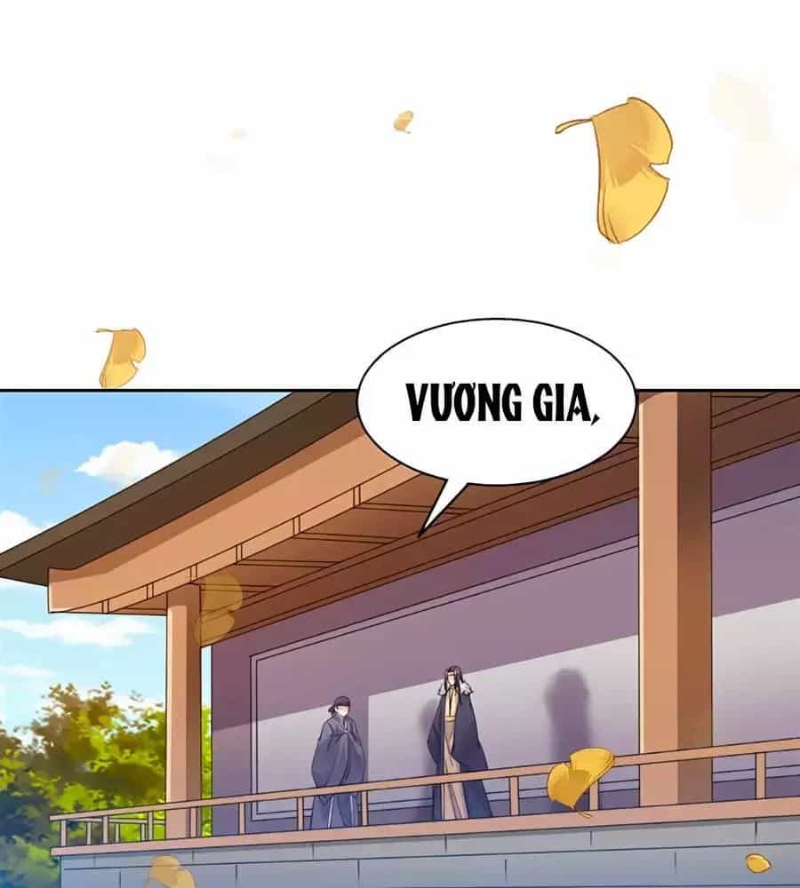 Vương Gia Là Đầu Đại Lão Hổ - Chương 63 - ảnh 1