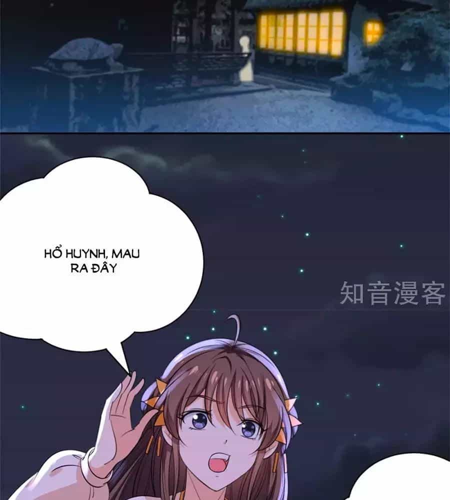 Vương Gia Là Đầu Đại Lão Hổ - Chương 67 - ảnh 32