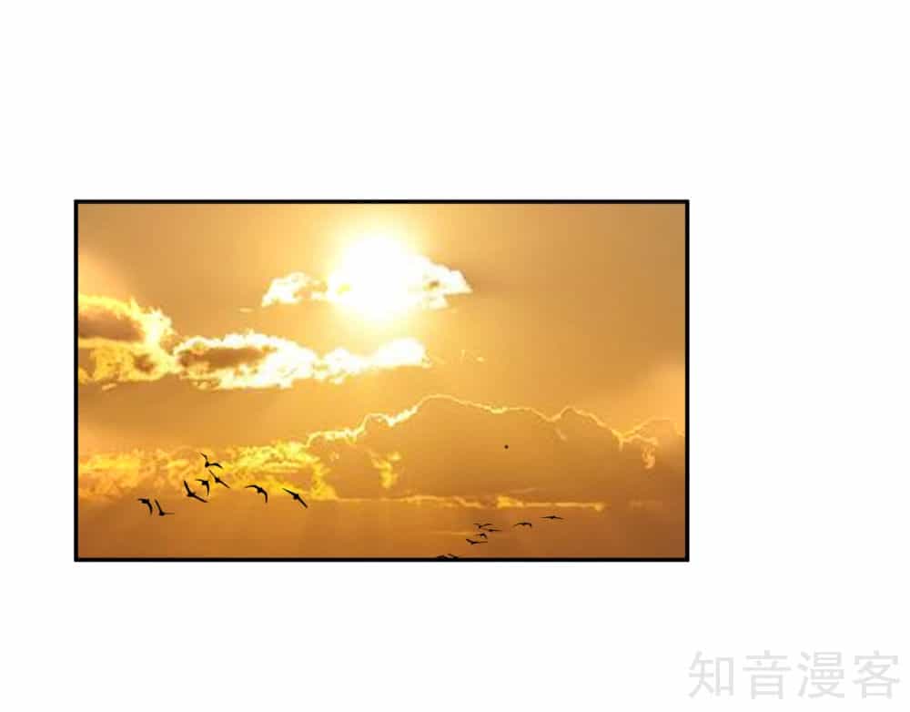 Vương Gia, Mã Giáp Của Người Rơi Rồi - Chương 2 - ảnh 54