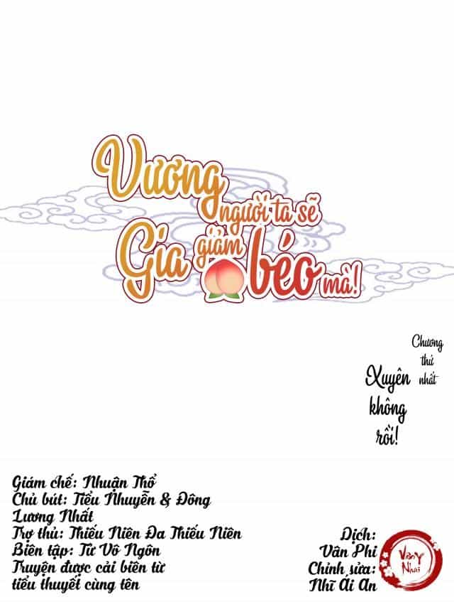 Vương Gia Người Ta Sẽ Giảm Béo Mà!!! - Chương 1 - ảnh 1