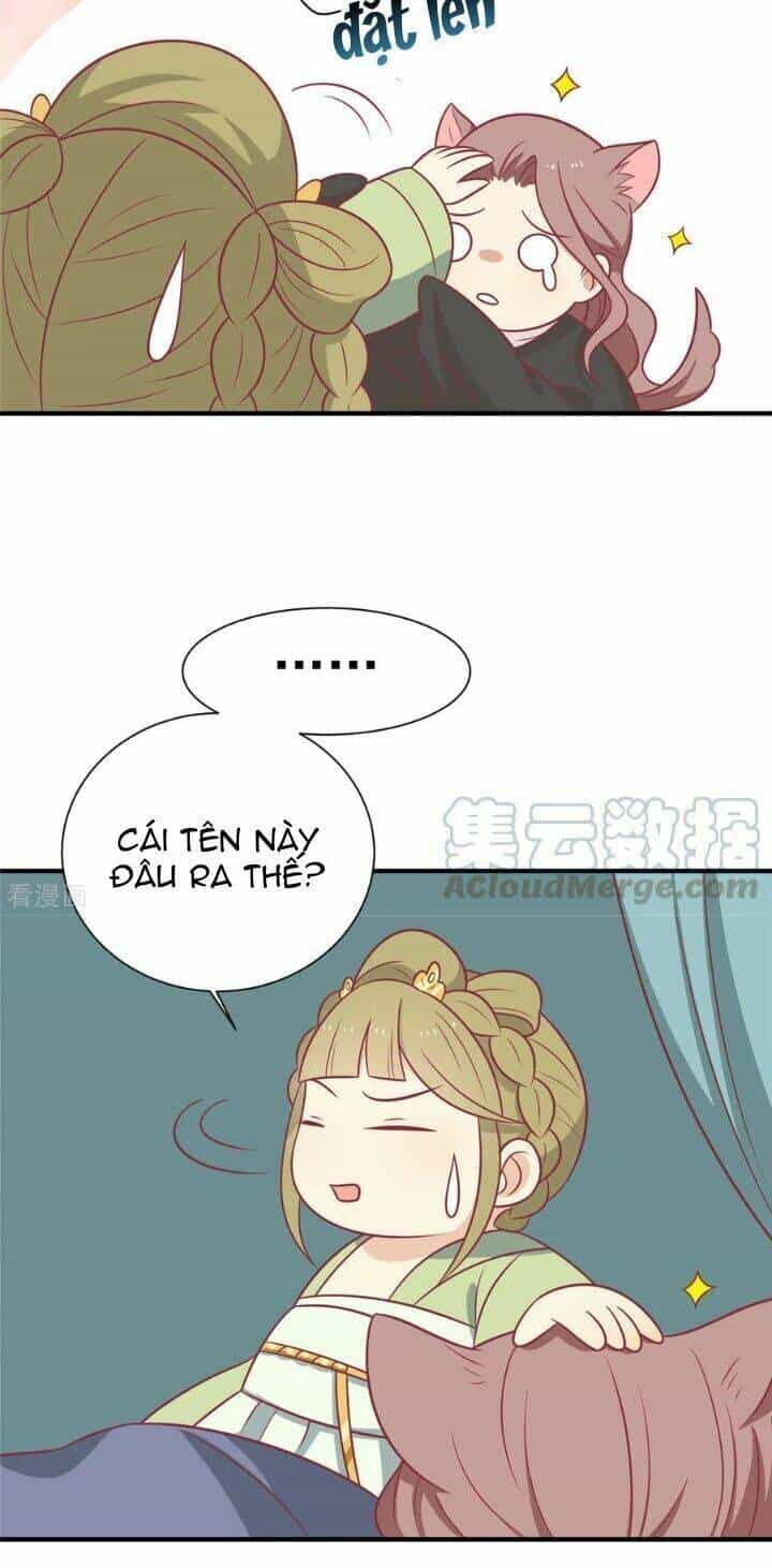 Vương Gia Người Ta Sẽ Giảm Béo Mà!!! - Chương 104 - ảnh 30