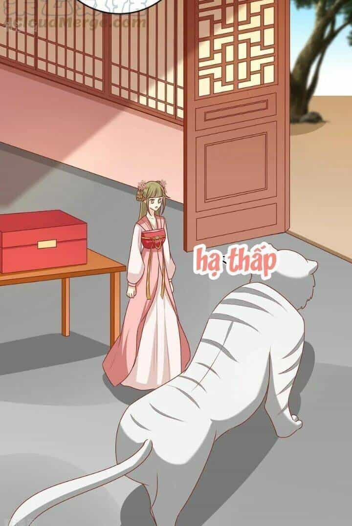 Vương Gia Người Ta Sẽ Giảm Béo Mà!!! - Chương 148 - ảnh 31