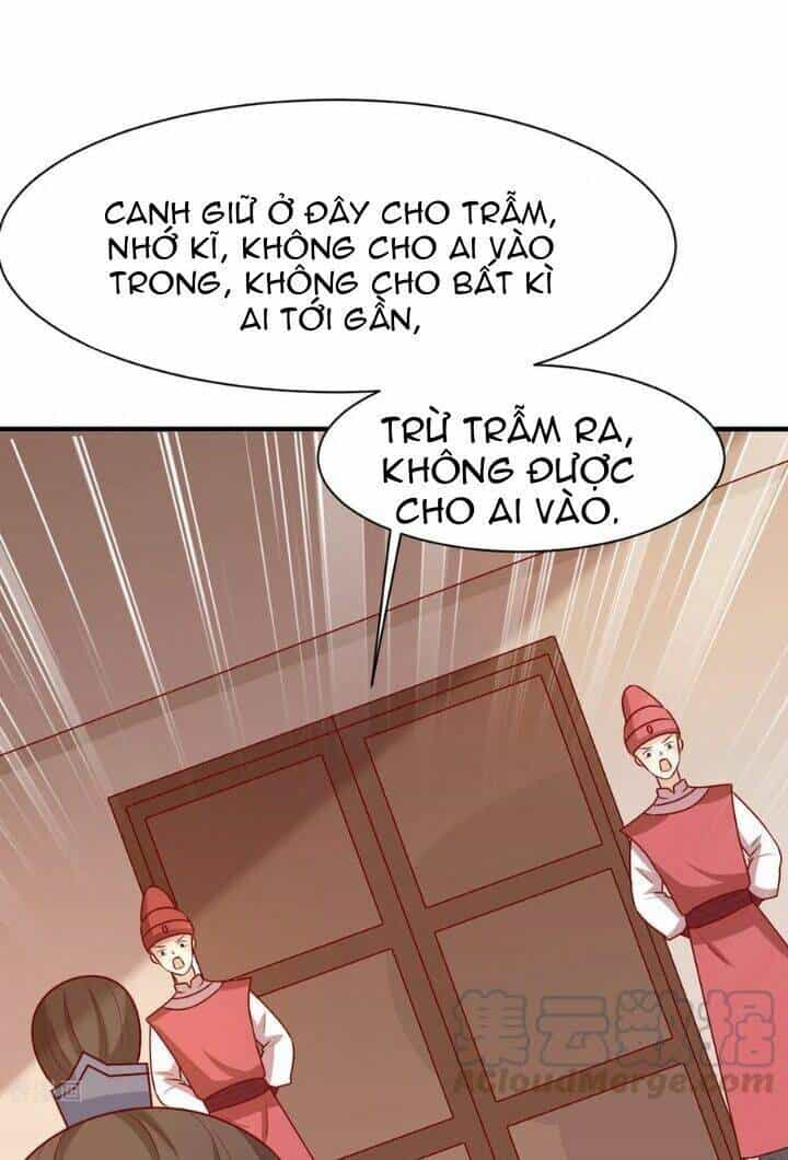Vương Gia Người Ta Sẽ Giảm Béo Mà!!! - Chương 152 - ảnh 32