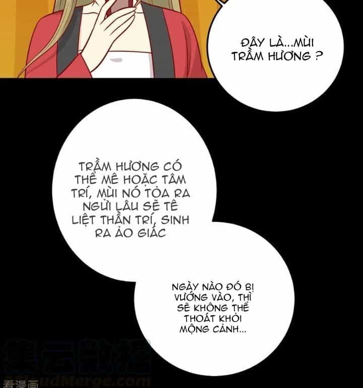 Vương Gia Người Ta Sẽ Giảm Béo Mà!!! - Chương 164 - ảnh 35