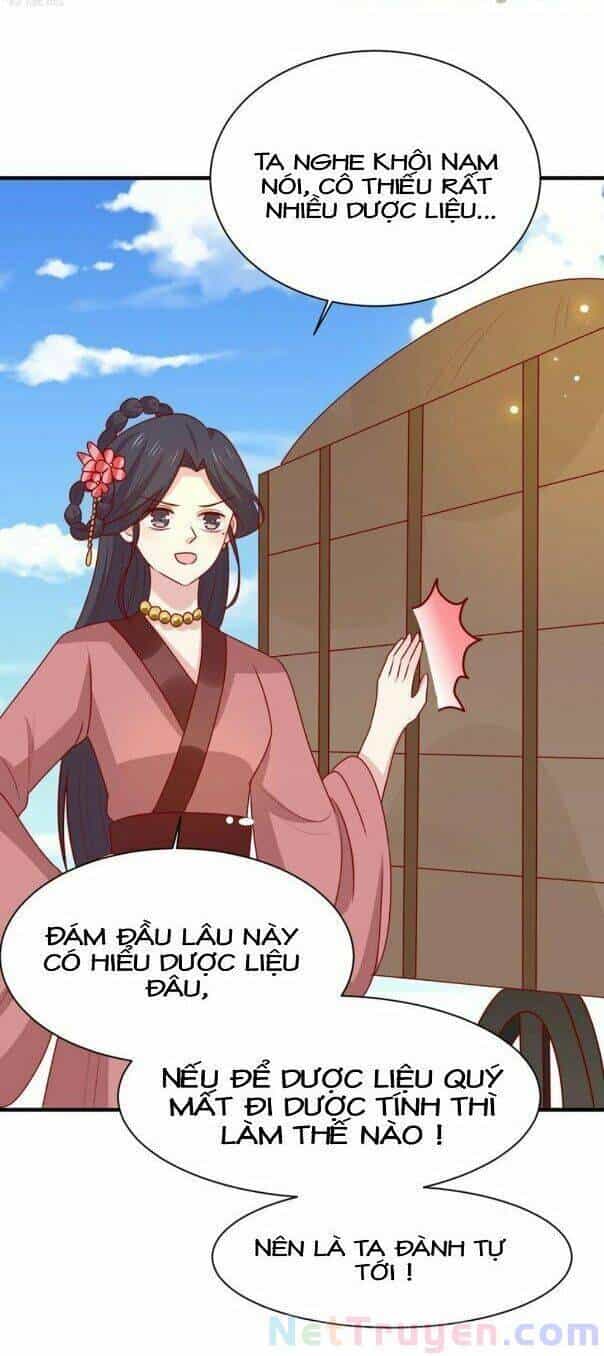 Vương Gia Người Ta Sẽ Giảm Béo Mà!!! - Chương 176 - ảnh 11