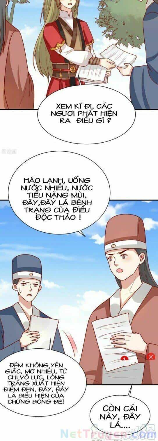 Vương Gia Người Ta Sẽ Giảm Béo Mà!!! - Chương 176 - ảnh 4