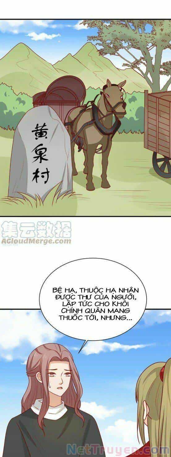 Vương Gia Người Ta Sẽ Giảm Béo Mà!!! - Chương 176 - ảnh 8