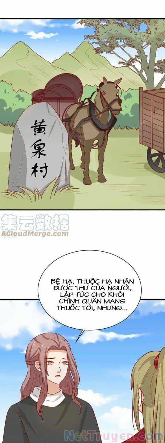 Vương Gia Người Ta Sẽ Giảm Béo Mà!!! - Chương 177 - ảnh 8