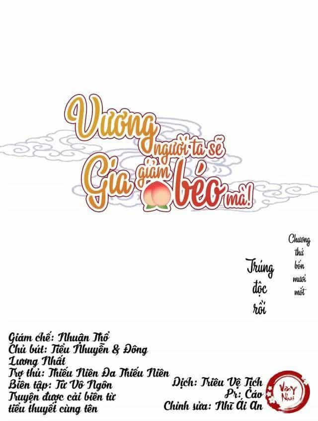 Vương Gia Người Ta Sẽ Giảm Béo Mà!!! - Chương 41 - ảnh 1