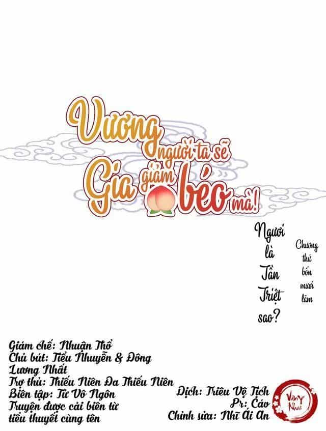 Vương Gia Người Ta Sẽ Giảm Béo Mà!!! - Chương 45 - ảnh 1